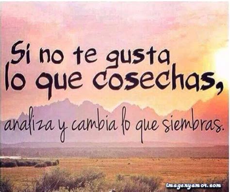 frases motivadoras cristianas buscar  google frases