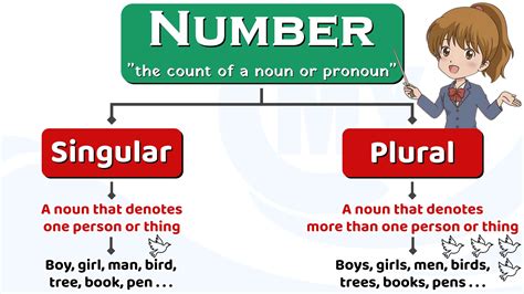 singular  plural nouns  english grammar number