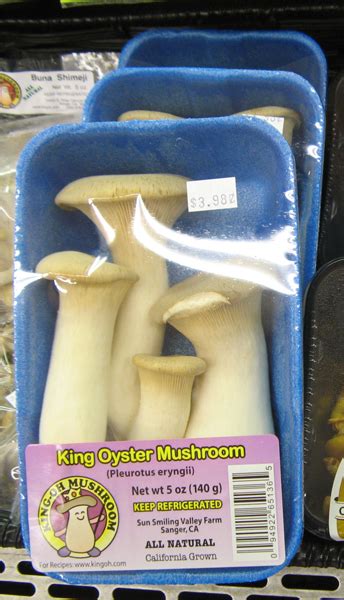 gary lincoff medicinal mushrooms