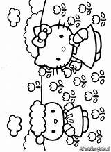 Kitty Hello Coloring Pages Friends Library Clipart Popular sketch template