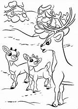 Rudolph Rudolf Reindeer Ausmalbilder Colorat Nosed Nariz Rentier Rena Colorir Cucciolo Naso Kolorowanki Planse Roten Nase Renifer Plantillas Ausmalbild Cu sketch template