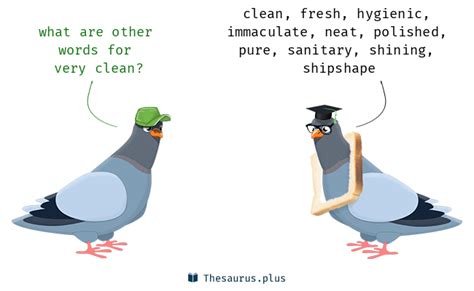 clean synonyms similar words   clean