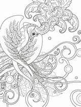 Adult Adultos Bird Mandalas Nerdy Mamma sketch template