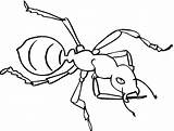 Ant Coloring Color Pages Kids Printable sketch template
