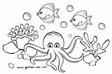 Mewarnai Laut Sketsa Pemandangan Hewan Alam Mudah Gurita Hitam Putih Diwarnai Ikan Binatang Mewarna Menggambar Gampang Cumi Kartun Berwarna Marimewarnai sketch template