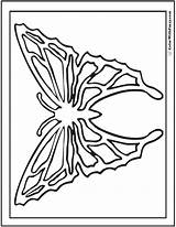 Geometric Butterfly Coloring Pages Symmetry Nature Print Geometrical Pdf Colorwithfuzzy Detailed sketch template