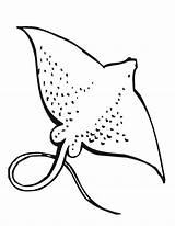 Coloring Pages Stingray Ray Stingrays Animal Manta Colouring Printable Kids Print Ocean Marine Outline Sea Fish Animals Noodle Drawings Sheets sketch template