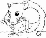 Hamster Coloring Pages Gerbil Chinchilla Cute Cheese Eat Which Printable Color Hamsters Getdrawings Print Getcolorings Colouring Popular Disimpan Dari Onlycoloringpages sketch template