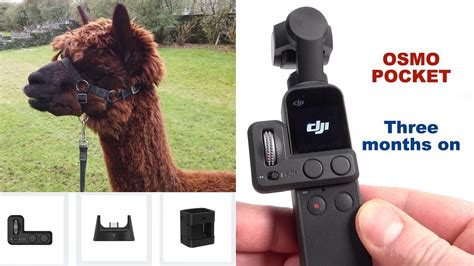 dji osmo pocket review  months  youtube