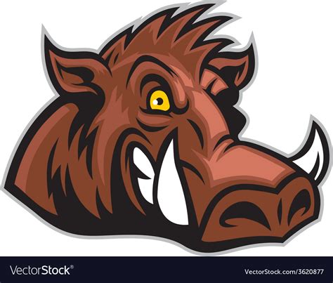 wild hog head royalty  vector image vectorstock