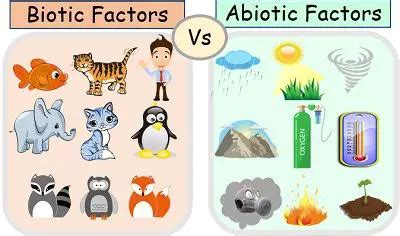 difference  abiotic  biotic factors  comparative map
