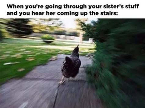 27 Of The Best Sister Memes Of All Time – Artofit
