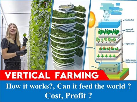 vertical farming work vertical farming  home