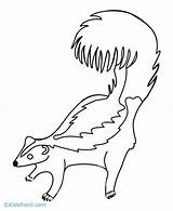 Skunk Coloring Pages Books Library Clipart Popular Coloringhome sketch template