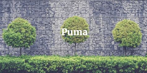 puma factory shops