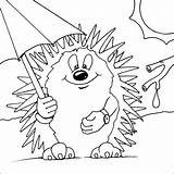 Erizo Hedgehogs Egel Animales Igel Paraplu Designlooter Erizos Dibujo Bacheca 51kb 553px Pintarcolorear sketch template