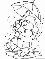 Monsoon Drawing Pages Coloring Bear Teddy Getdrawings Colouring Paddington Umbrella Choose Board sketch template