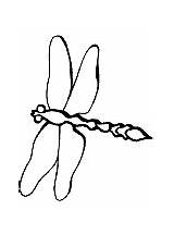 Libellule Disegni Dragonfly Libellen Colorare Bambini Insect Zvířátka Malvorlage Kategorien Hmyz 1404 Zdroj článku sketch template