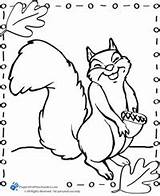 Squirrel Coloring Pages Preschool Preschoolers November Getdrawings Projectsforpreschoolers sketch template