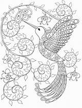 Coloring Pages Adults Unique Colouring Getdrawings sketch template