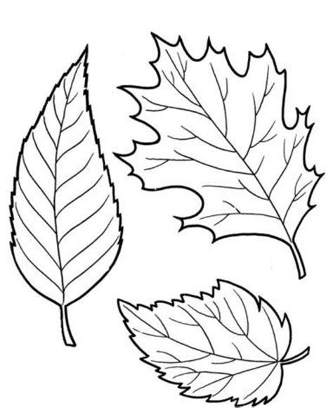fall leaves coloring pages beautiful leaves educational pinterest