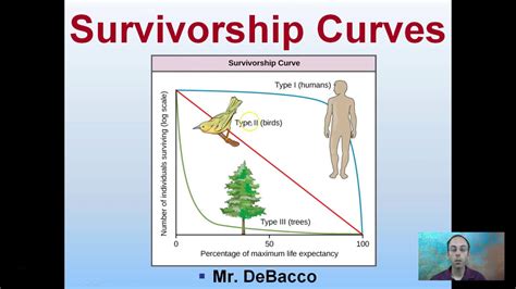 survivorship curves youtube