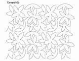 Canopy sketch template