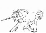 Unicorn Medieval Deviantart sketch template