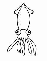 Cuttlefish Template Coloring sketch template