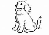 Coloring Sheepdog Collie Pages Lps Dog Colour Puppy 01kb 650px Drawings Library Clipart Popular sketch template