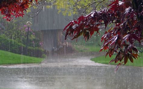 rain wallpapers backgrounds images pictures design trends