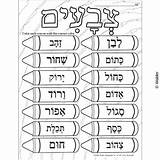 Hebrew Color Learn Colors Crayons sketch template