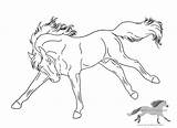 Horse Bucking Lineart Coloring Pages Drawing Friesian Deviantart Use Drawings American Color Getcolorings Print Colori Getdrawings Paintingvalley Drawn sketch template