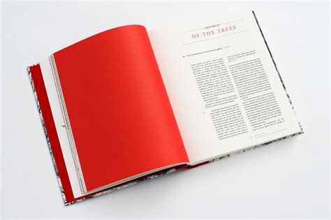 innovation  book design  book   book design book design