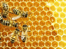 de bijenkorf vouchercode woningstijl en advies