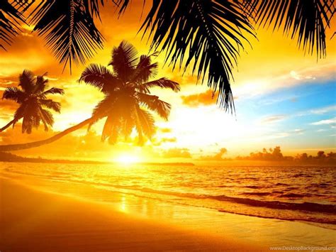 tropical sunset wallpaper desktop background