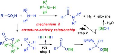 mechanism  structureactivity relationship  amide bond formation  silane derivatives