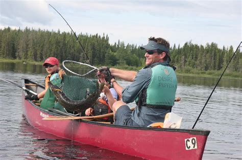 fishing canoe paddle pursuits