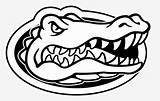 Gator Gators Uf Freebie Fl Alligator Transpa Pinclipart Soccer Ncaa Removable Clipground Clipartkey Seekpng sketch template