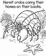 Hermit Crab Coloring Pages Printable Grade Eric 5th Carle Crabs House Starfish Kids Colouring Color Sheets Georgia Bulldogs Ocean Animal sketch template
