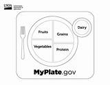 Myplate Coloring sketch template