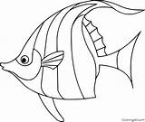 Coloring Fish Angelfish Pages Drawings Printable Print Vector Easy sketch template