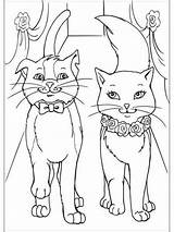 Coloring Pages Cats Cat Printable sketch template