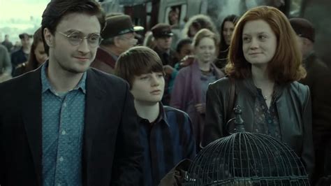 Maratona Harry Potter é Destaque Na Warner De 4 A 10 De Junho Cosmonerd