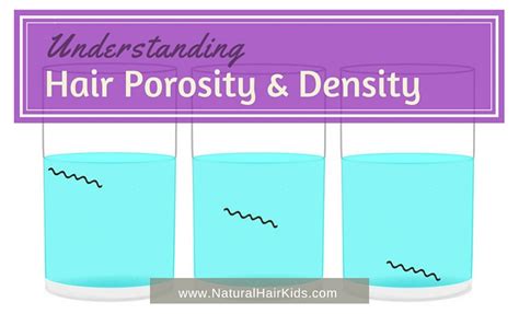 understanding hair porosity  density natural hair kids