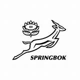 Springbok Springboks Contracts Awarded Term sketch template