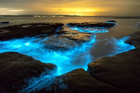 incredible places   ocean glows