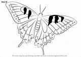 Swallowtail Step Drawingtutorials101 Coloring sketch template