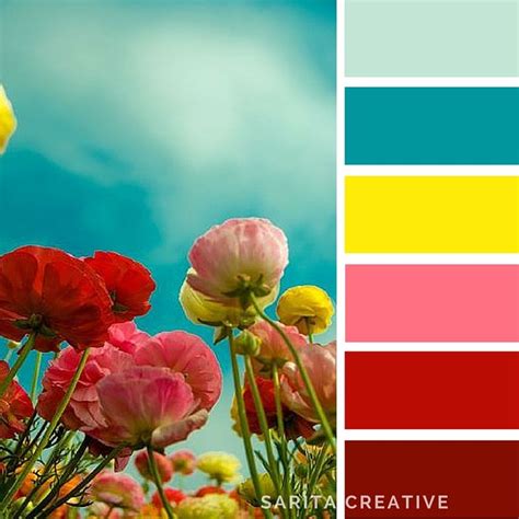 colour inspiration tall poppies  teals yellow pink  deep red saritacreativecom color