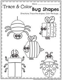 bug worksheets  preschool
